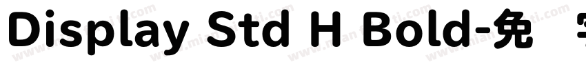 Display Std H Bold字体转换
